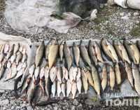 На Днепропетровщине мужчина незаконно ловил рыбу, чем нанес государству ущерб в размере около 13 тысяч гривен, – ФОТО