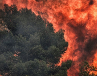 18 пожаров за сутки: спасатели просят жителей Днепропетровщины не сжигать траву, – ФОТО