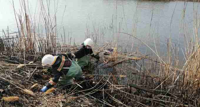 В Днепропетровской области в реке обнаружили тело женщины, – ФОТО