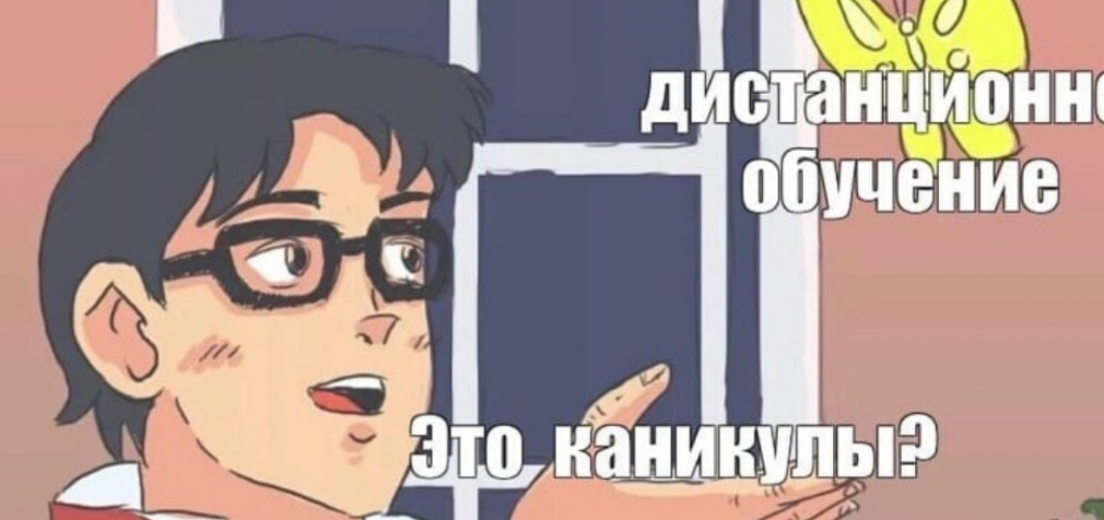 “Карантин – не каникулы”: лучшие мемы про дистанционное обучение