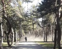 Окно из-за пыли не откроешь: днепряне требуют запретить использовать пылесос в парке Писаржевского