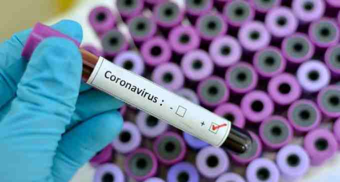 В США от коронавируса могут умереть 2,2 миллиона человек