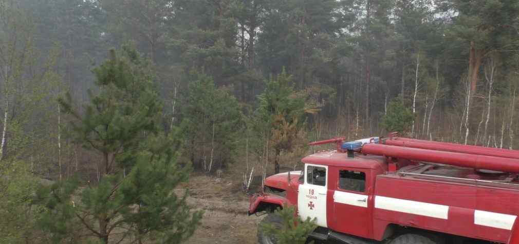 В заповеднике Житомирской области вспыхнул новый пожар