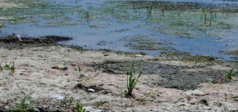 В Украине – самый низкий уровень воды в реках за 100 лет