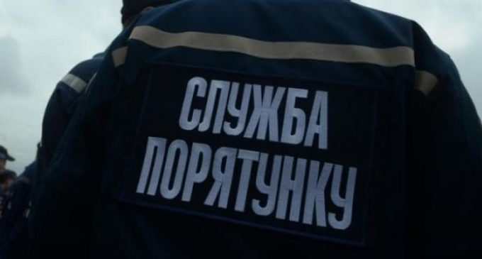 В Днепропетровской области спасатели сняли четырех котят с дерева, – ФОТО