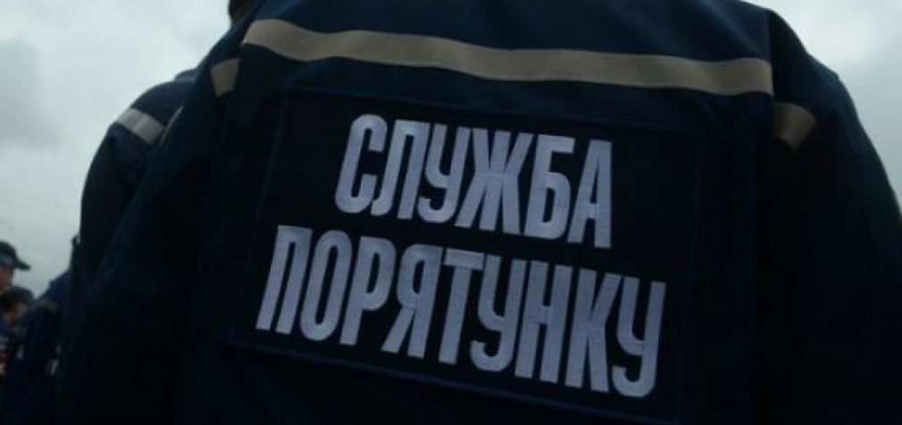 В Днепре дерево упало на линию электропитания электротранспорта, – ФОТО