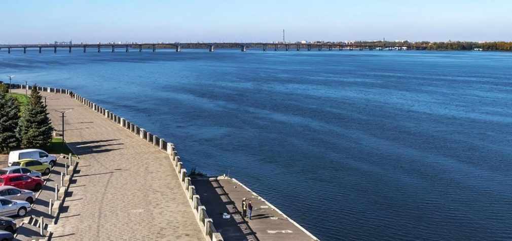 На Днепропетровщине сгорели 15 черепах, предварительно – из-за браконьеров, – ФОТО