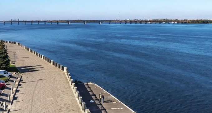 В одном из парков Днепра началось нашествие гусениц, – ФОТО