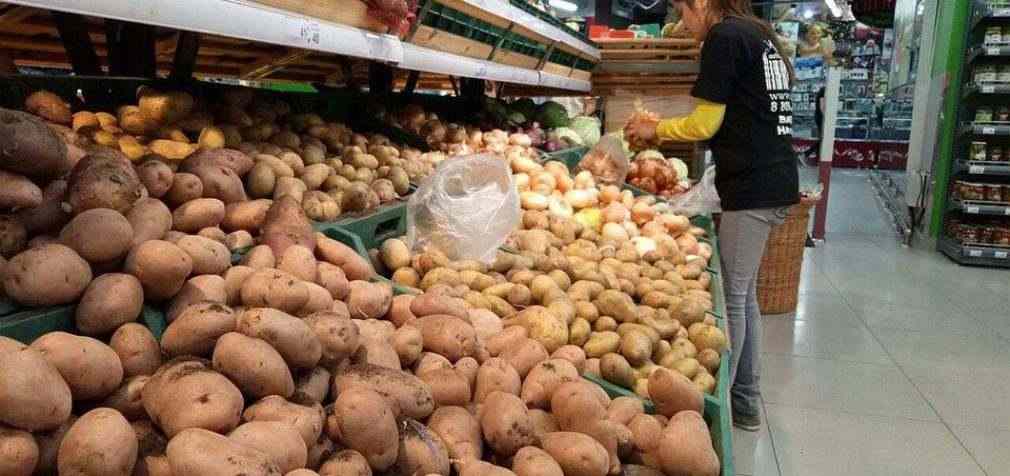 Украина продолжает активно импортировать картофель