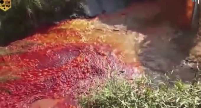 Река в Израиле превратилась в кровавое месиво