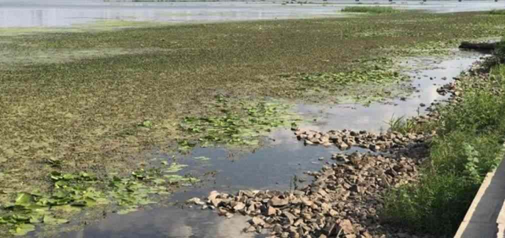 Украине угрожает дефицит воды в реках, – СНБО