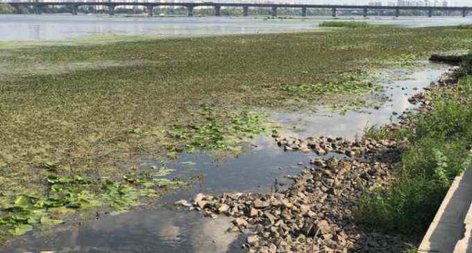Украине угрожает дефицит воды в реках, – СНБО
