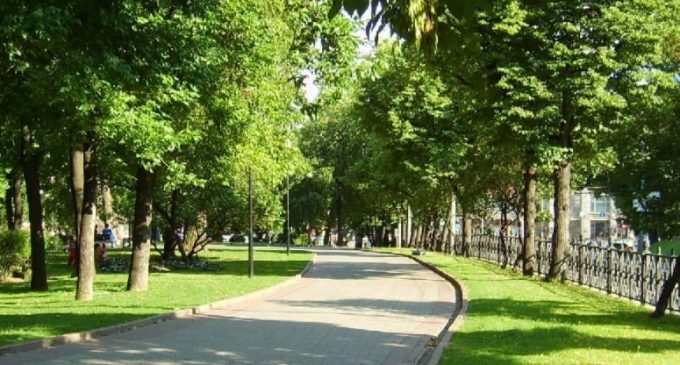 В Днепре планируют высадить еще более 2 тысяч деревьев и кустов