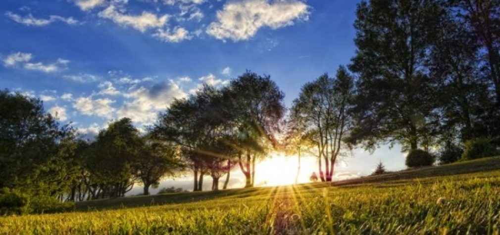 В Украине во второй половине мая возможны заморозки, – Кульбида