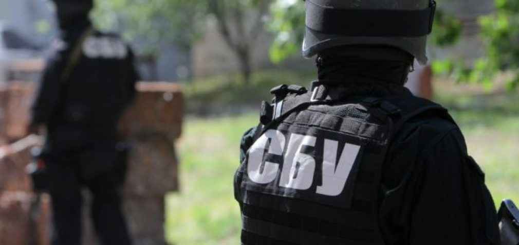 СБУ: интервью с Поклонской и Гиркиным не было спецоперацией