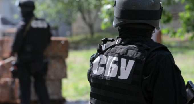 СБУ: интервью с Поклонской и Гиркиным не было спецоперацией