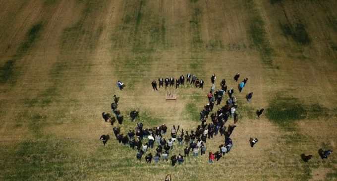 В Одесской области хотят объявить ЧС из-за гибели посевов