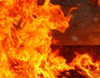 В Днепропетровской области горел гараж с двумя автомобилями внутри, – ФОТО