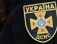 В Днепре спасатели помогли застрявшей ласточке, – ФОТО