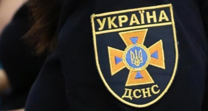 В Днепре спасатели помогли застрявшей ласточке, – ФОТО