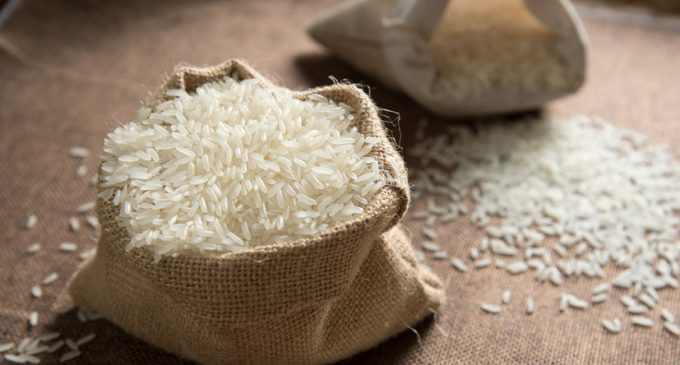 Мировые цены на рис поднялись до рекордного уровня