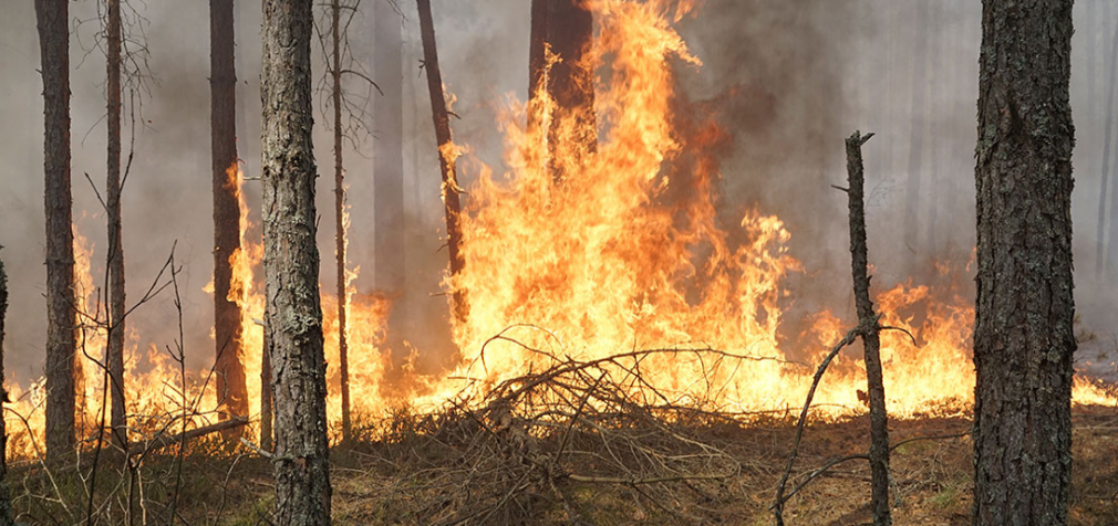“Чрезвычайная опасность”: за сутки в Днепропетровской области произошло 37 пожаров, – ФОТО