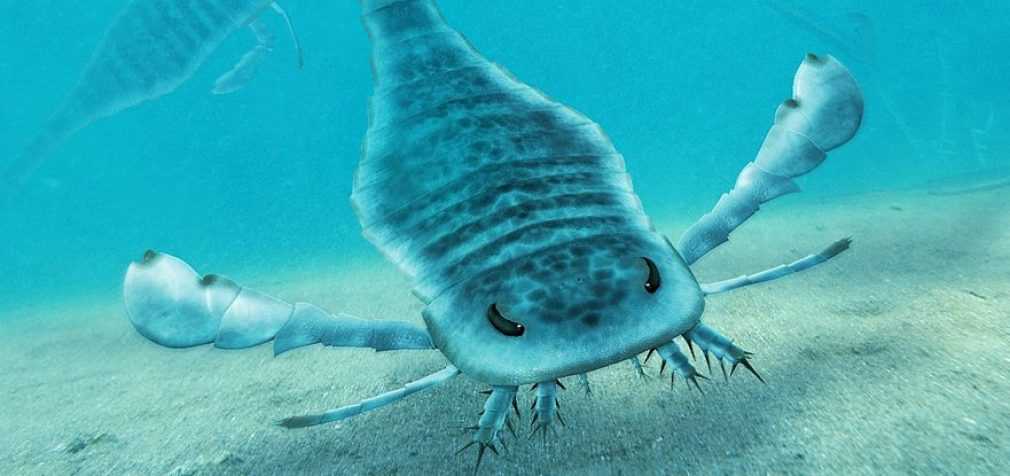 В древних  океанах жили морские скорпионы-гиганты