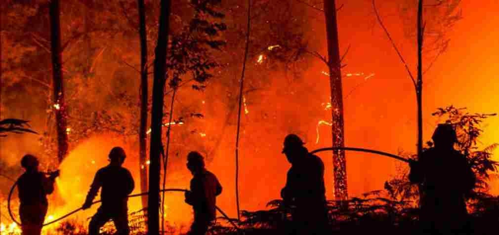 Массовые пожары в экосистемах Днепропетровщины: спасатели призывают не палить траву