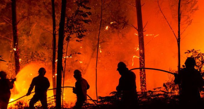 Массовые пожары в экосистемах Днепропетровщины: спасатели призывают не палить траву