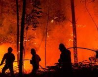 Пожарные объяснили, почему горят экосистемы Днепропетровщины