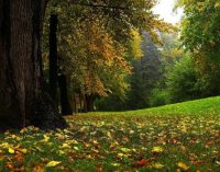 Погода в Днепре на неделю: прогноз на 14-20 сентября