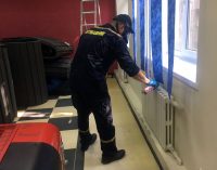 В днепровской школе в классе поселился рой опасных насекомых, – ФОТО