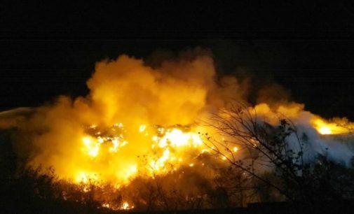 У Житомирі гасять масштабну пожежу на звалищі
