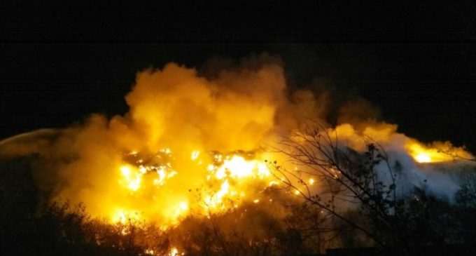 У Житомирі гасять масштабну пожежу на звалищі