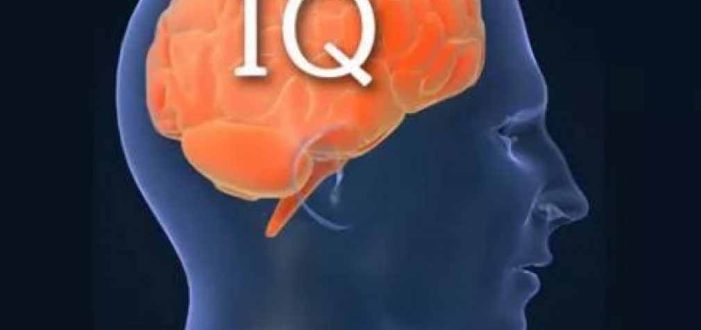 У детей, живущих в «зелёных» регионах, высокий IQ, – учёные