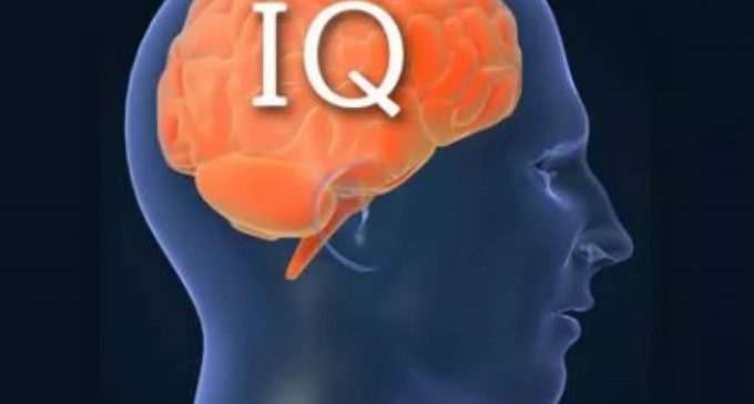 У детей, живущих в «зелёных» регионах, высокий IQ, – учёные