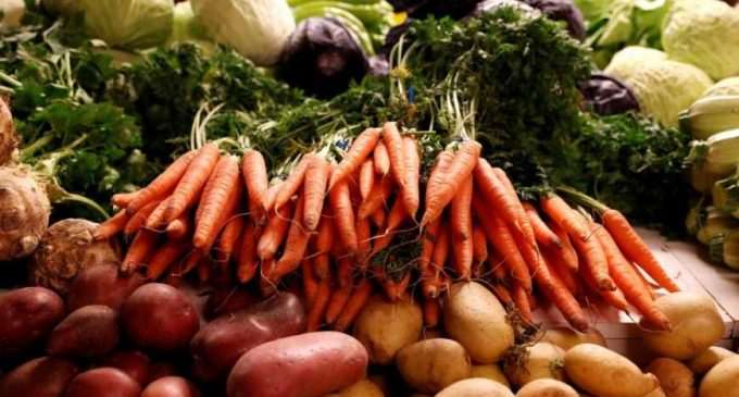 В Украине снизились цены на многие виды овощей