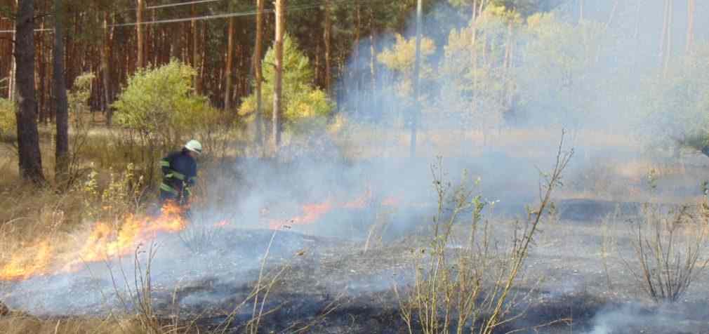 В Луганской области снова бушуют пожары, жителей эвакуируют