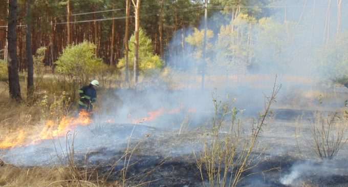 В Луганской области снова бушуют пожары, жителей эвакуируют