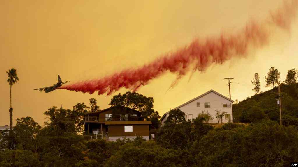 В штате калифорния лесные пожары достаточно частое