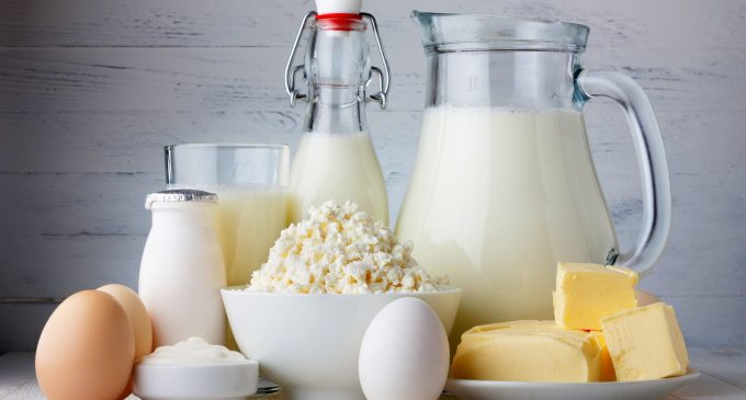 В Украине продолжает сокращаться производство молочной продукции