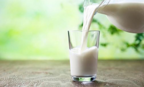Ключевые игроки на мировом рынке молока наращивают производство