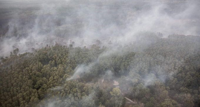 Пожары в Луганской области: в опасности 30 населённых пунктов