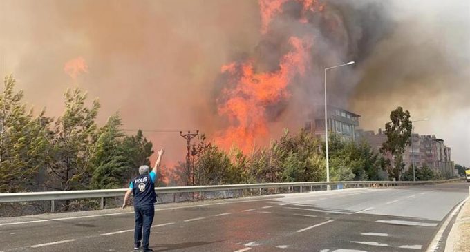 В Турции, Сирии и на Килиманджаро бушуют лесные пожары