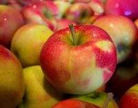 Цена яблок в 2020-м в Украине будет не выше, чем в прошлом году