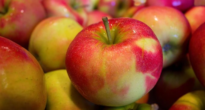 Цена яблок в 2020-м в Украине будет не выше, чем в прошлом году