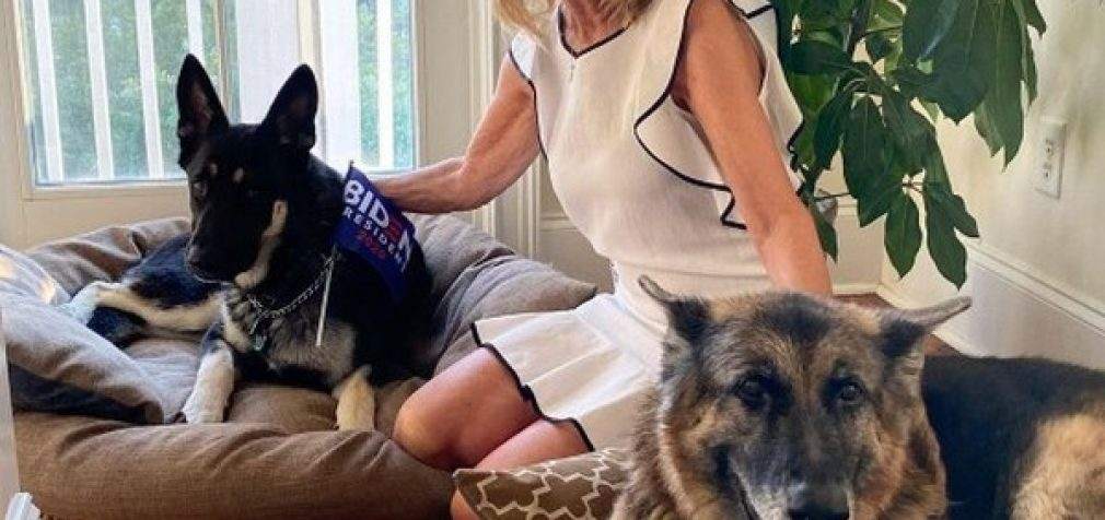 Жена Байдена нарушит традиции, а в Белом доме появятся собаки