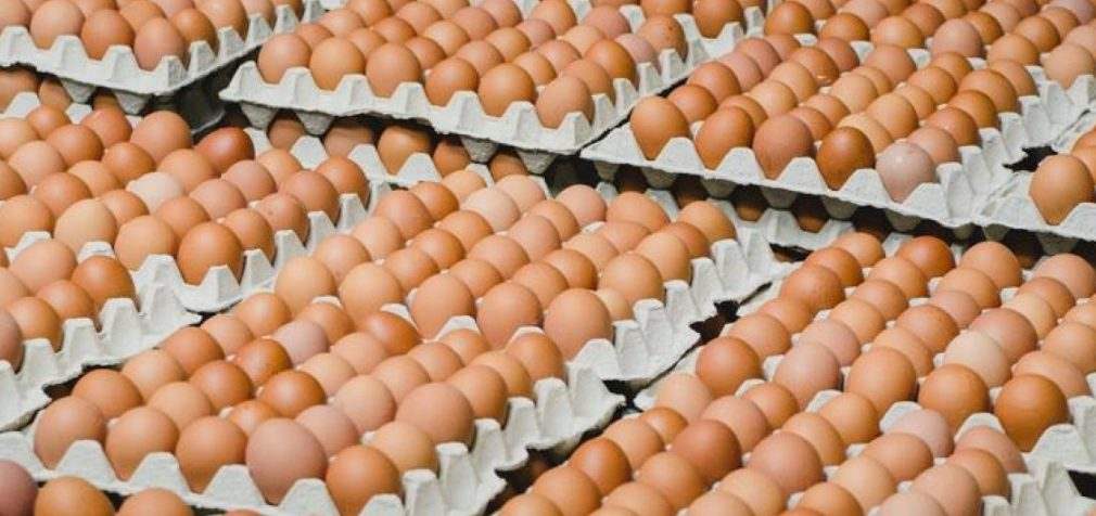 Эксперты прогнозируют подорожание яиц в Украине