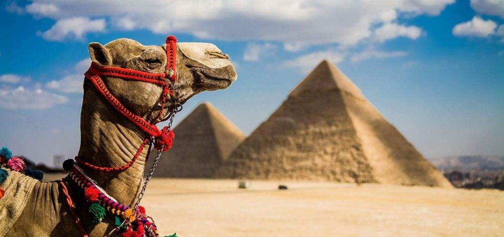Изменены правила въезда иностранных туристов в Египет