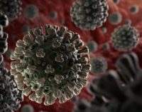 Снова более 200 случаев: статистика коронавируса в Днепре